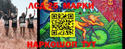 спиды Аргун