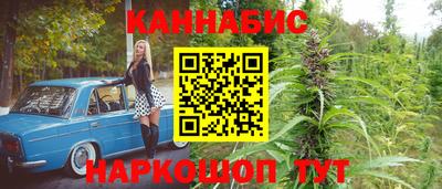 спиды Аргун