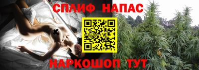 спиды Аргун