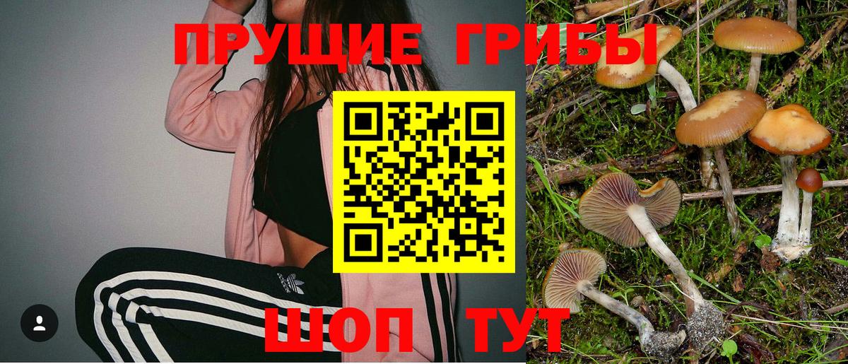 Псилоцибиновые грибы мухоморы  Вход с VPN  Вязники 